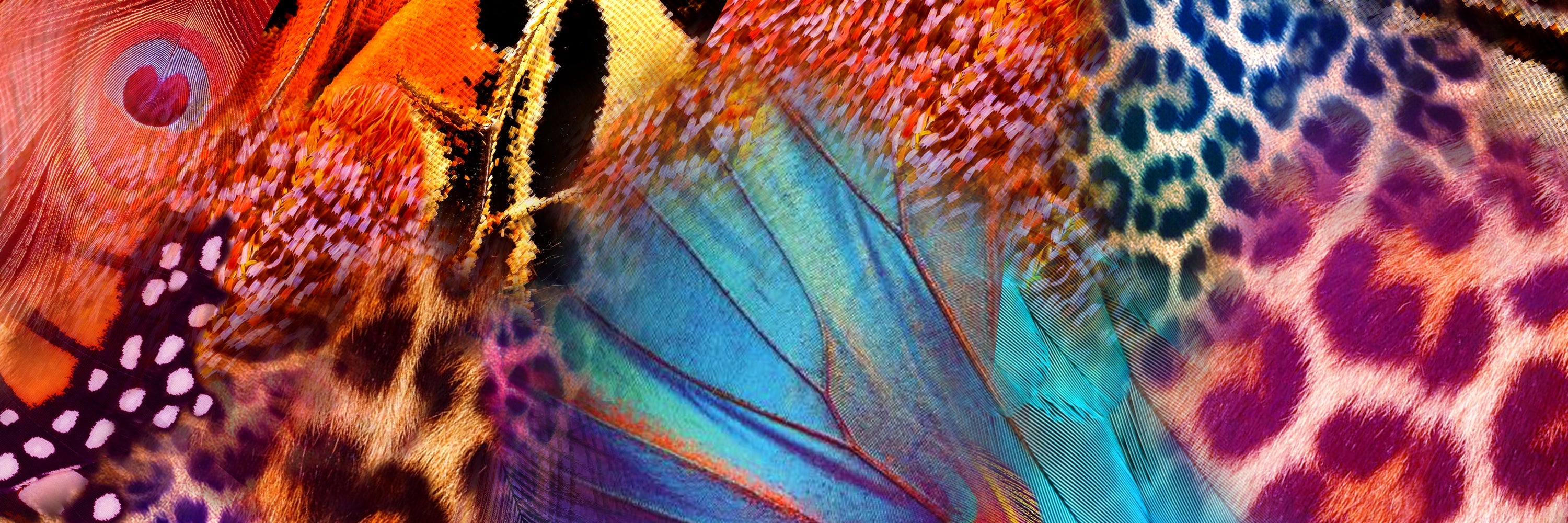 LEO NEON WILD